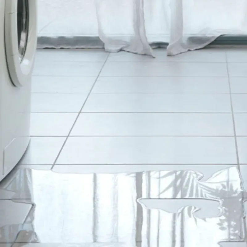 Appliance Leak Cleanup in White County, IL