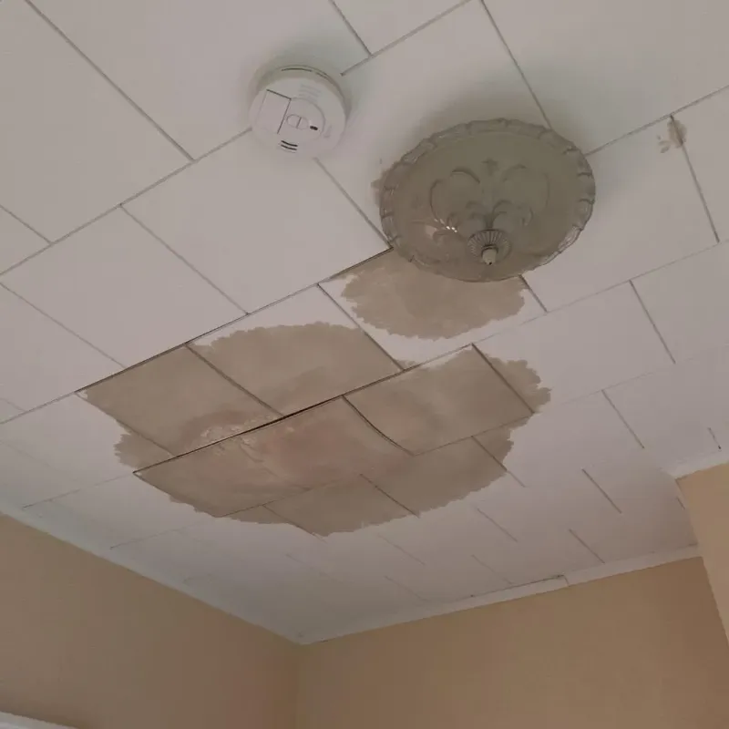 Ceiling Water Damage Repair in White County, IL