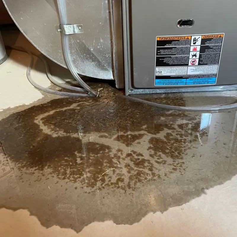 Pipe Burst and Leak Restoration in White County, IL