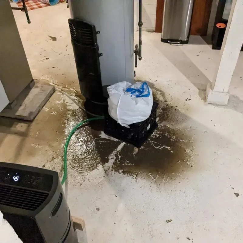 Sewage Backup Cleanup Service in White County, IL